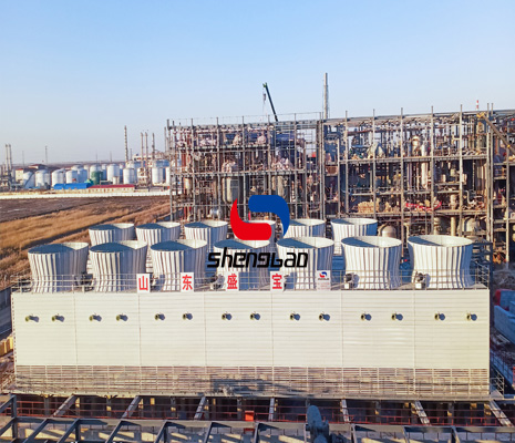 新材料行業(yè)DFNL-1000*13臺